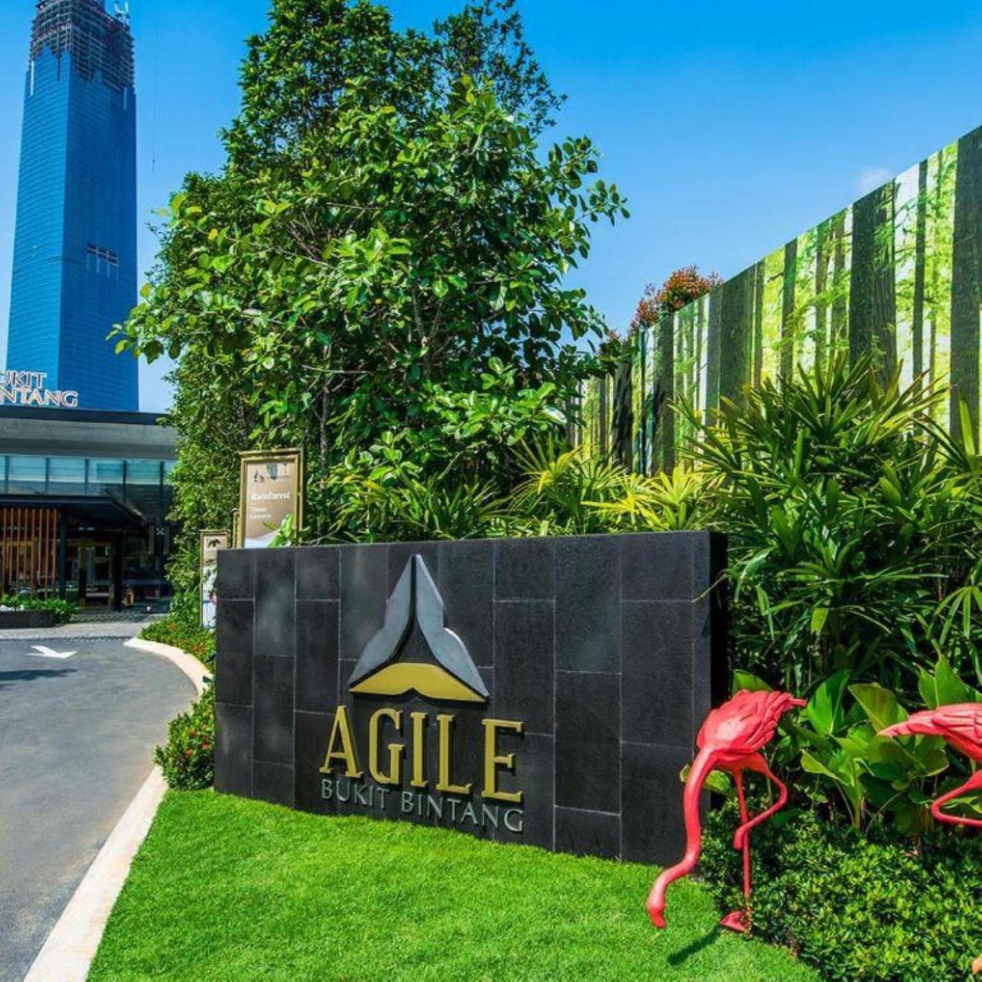 Marigold At Agile *